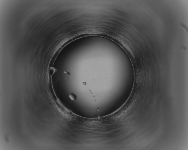 X0000093590837200710151202
