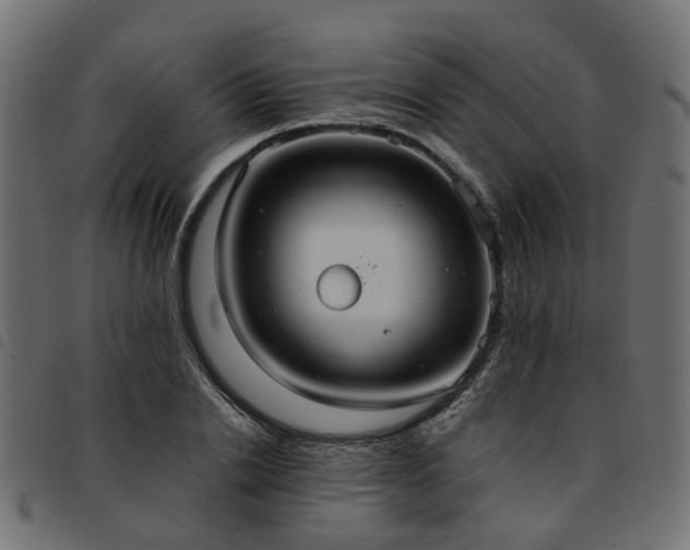 X0000093590838200710151202