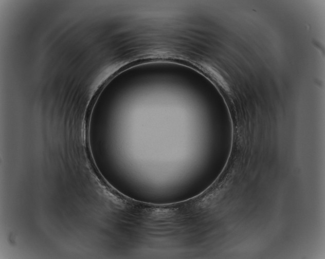 X0000093590839200710151202