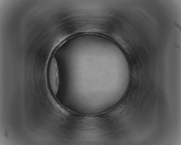 X0000093590840200710151202