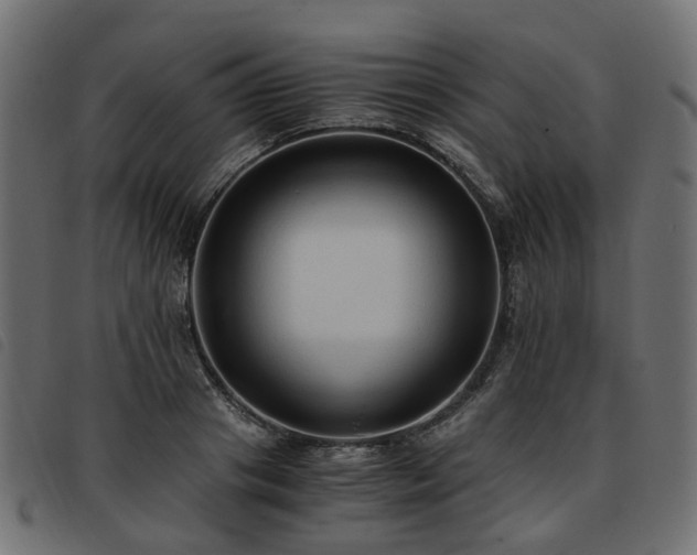 X0000093590841200710151202