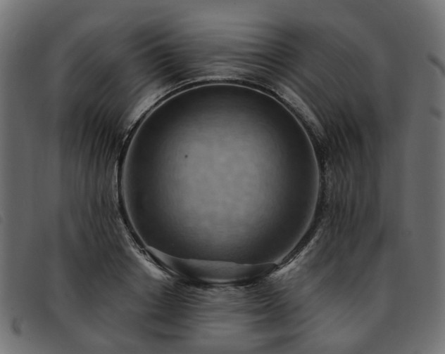 X0000093590842200710151202