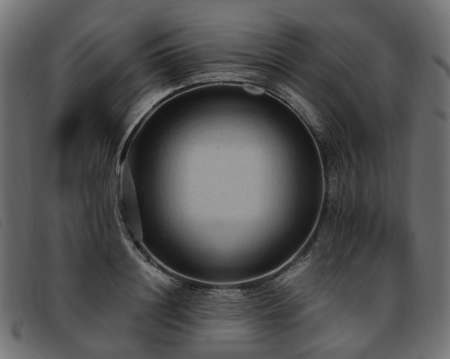 X0000093590844200710151202