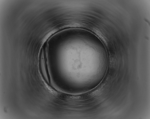 X0000093590845200710151202