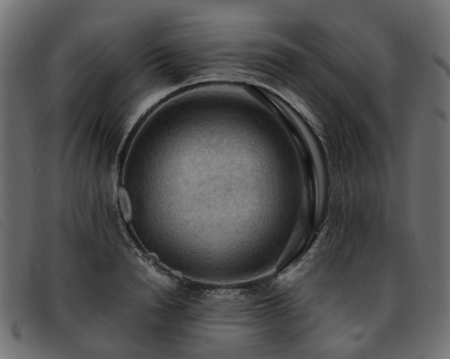 X0000093590846200710151202