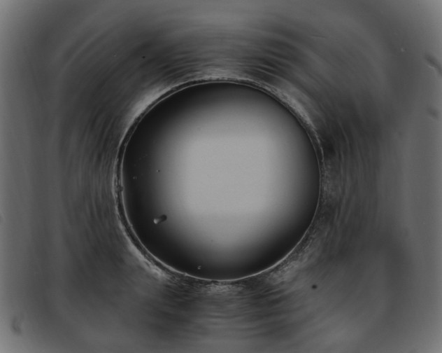 X0000093590847200710151202