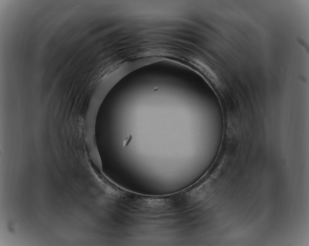X0000093590849200710151202