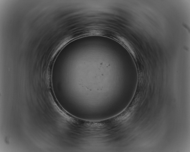 X0000093590851200710151202