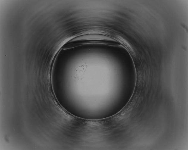 X0000093590852200710151202