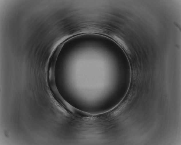 X0000093590854200710151203