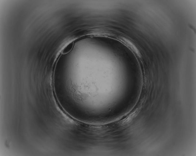 X0000093590855200710151203