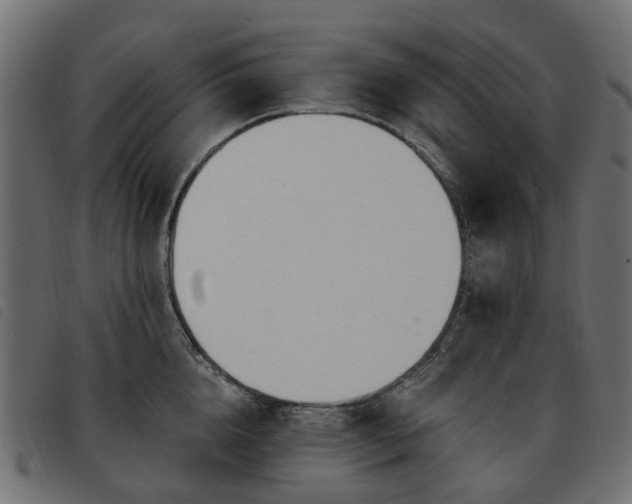 X0000093590856200710151203