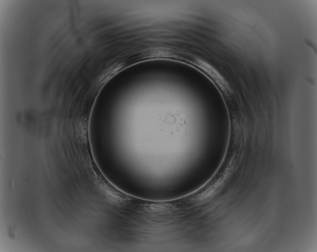 X0000093590857200710151203