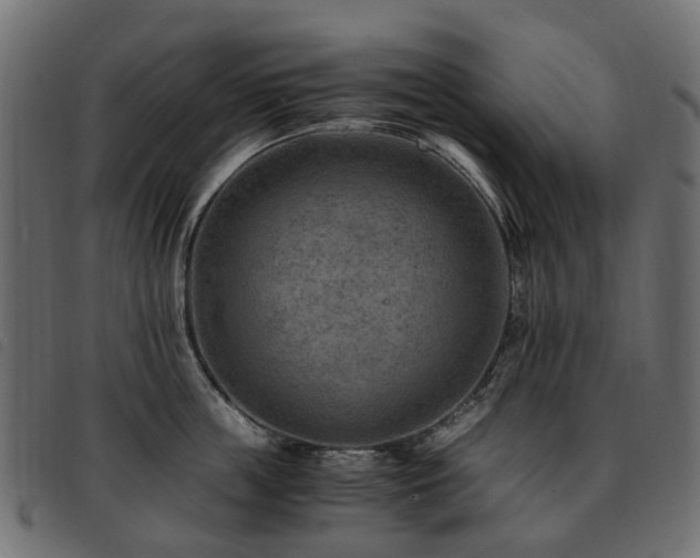 X0000093590859200710151203
