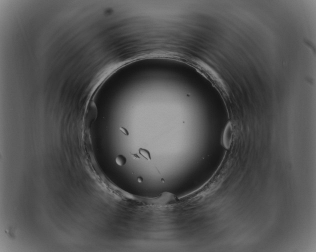 X0000093590860200710151203