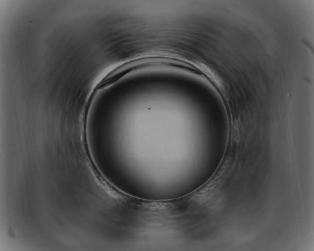 X0000093590862200710151203