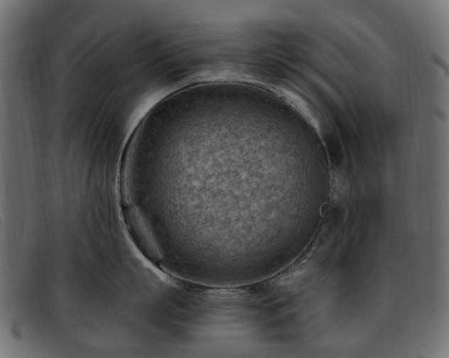 X0000093590863200710151203