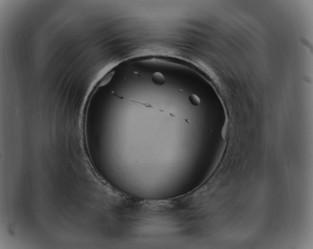 X0000093590864200710151203