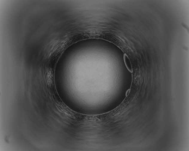 X0000093590866200710151202
