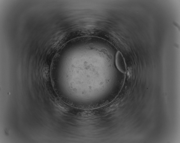 X0000093590867200710151202