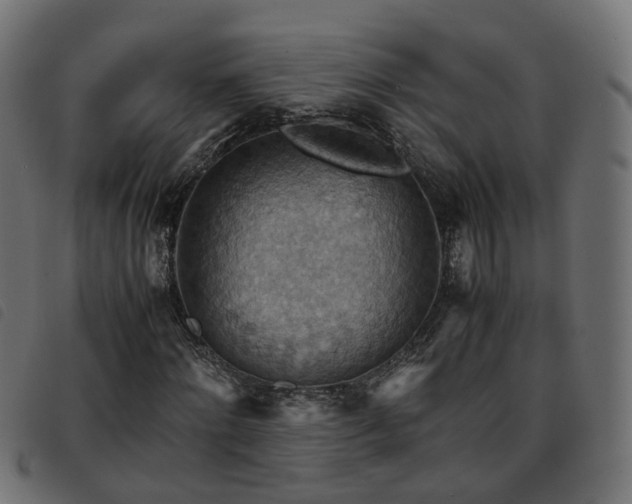X0000093590868200710151202