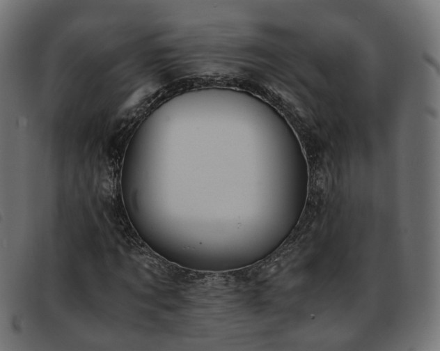 X0000093590869200710151202