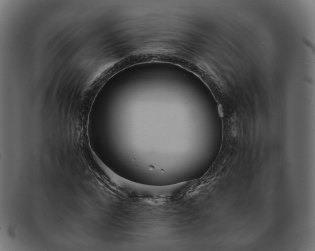X0000093590872200710151202