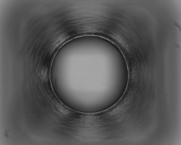 X0000093590873200710151202