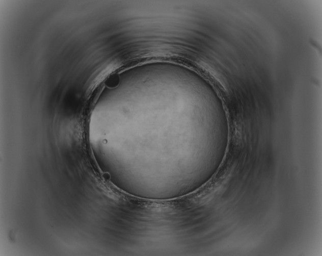 X0000093590874200710151202