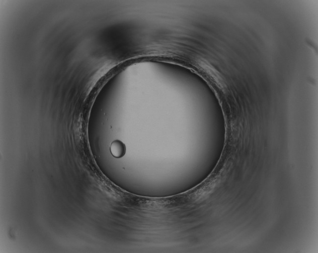 X0000093590875200710151202