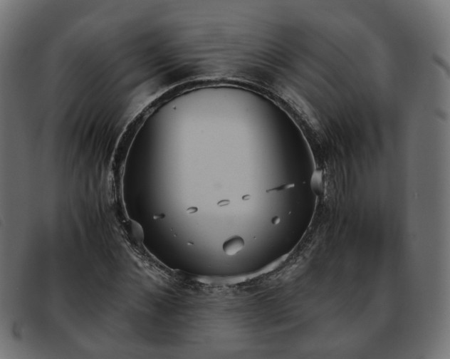 X0000093590876200710151202