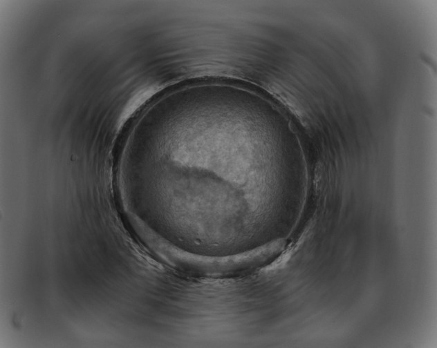 X0000093590877200710151202