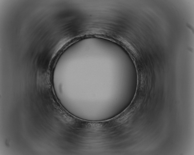 X0000093590878200710151202