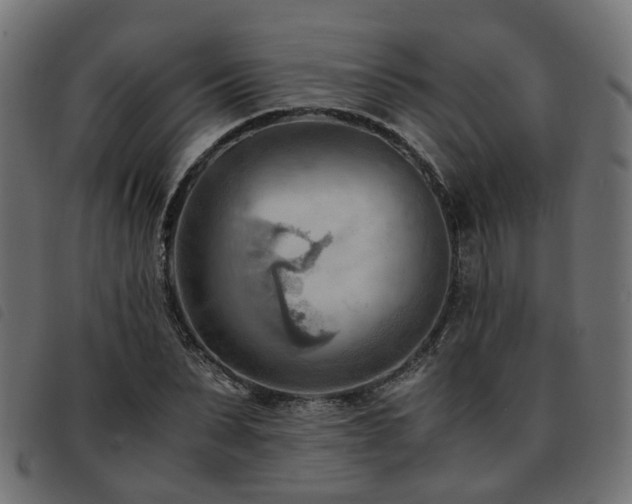 X0000093590879200710151202