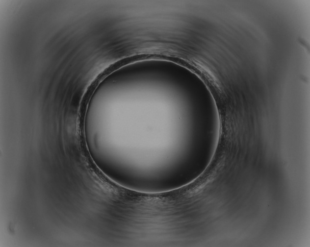 X0000093590880200710151202