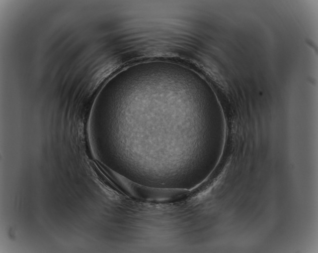 X0000093590881200710151202