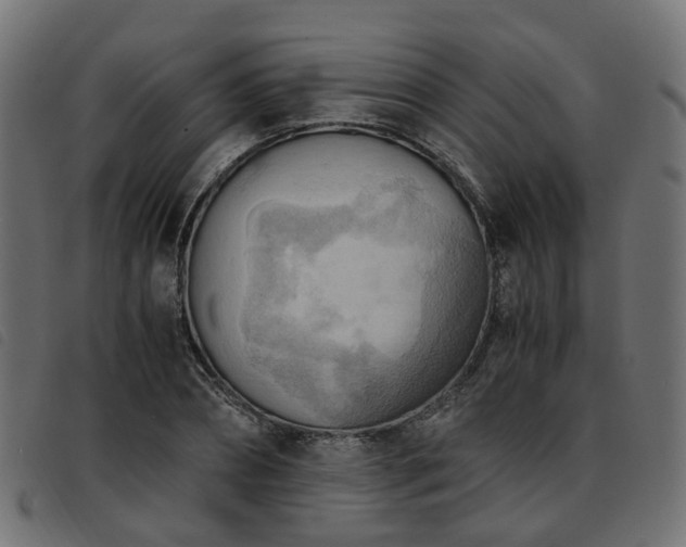 X0000093590882200710151202