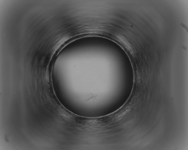X0000093590883200710151202