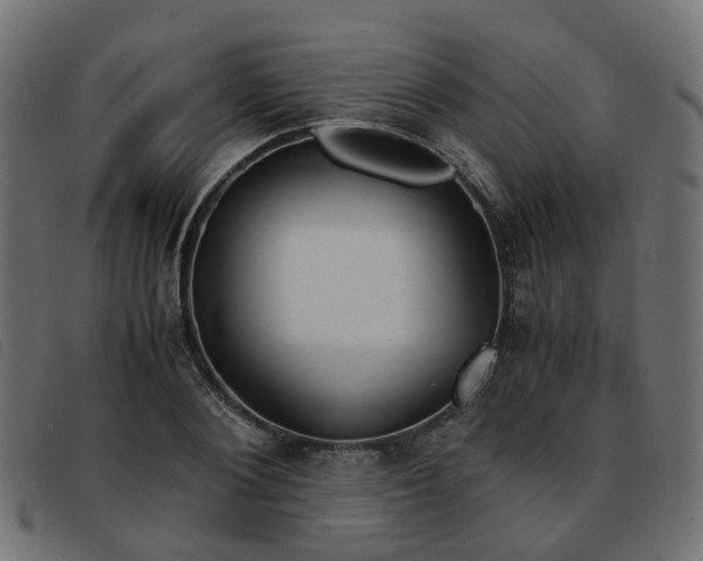 X0000093590884200710151202