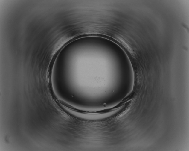 X0000093590885200710151202