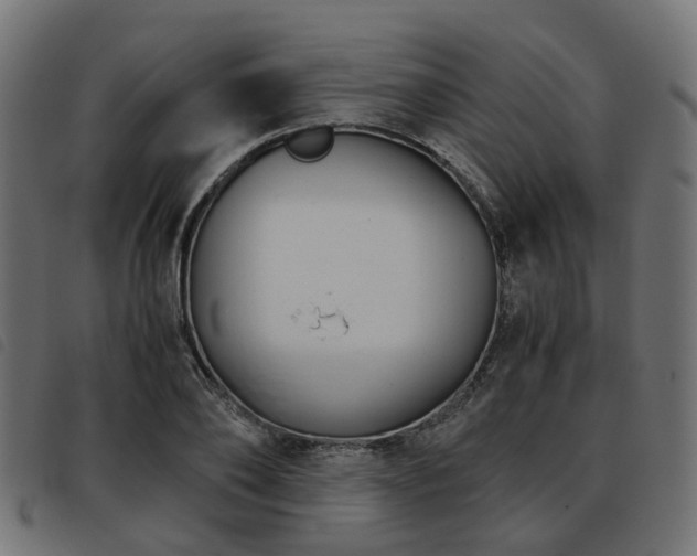 X0000093590886200710151202