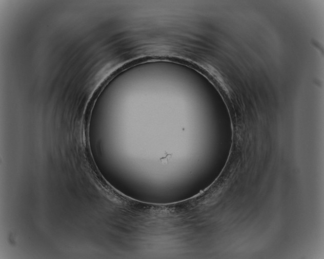 X0000093590887200710151202