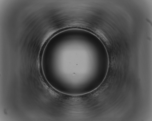 X0000093590888200710151202