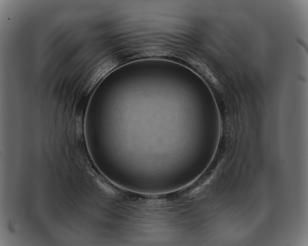 X0000093590889200710151202