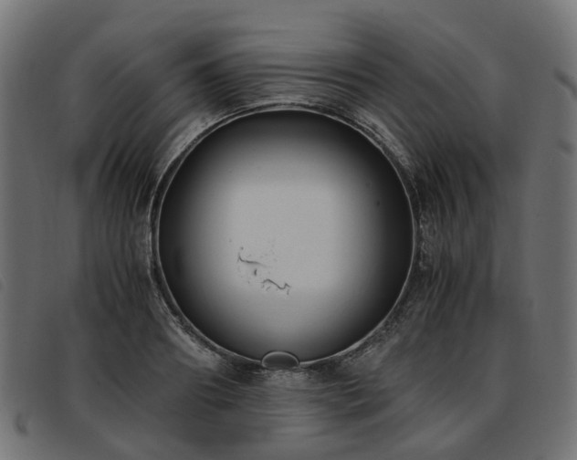X0000093590890200710151202