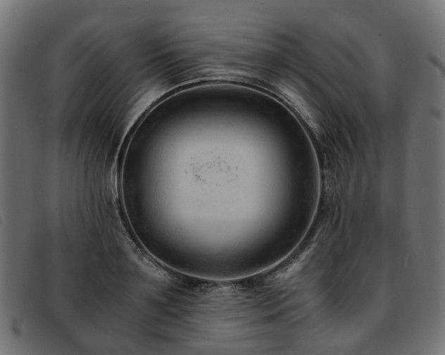 X0000093590891200710151202
