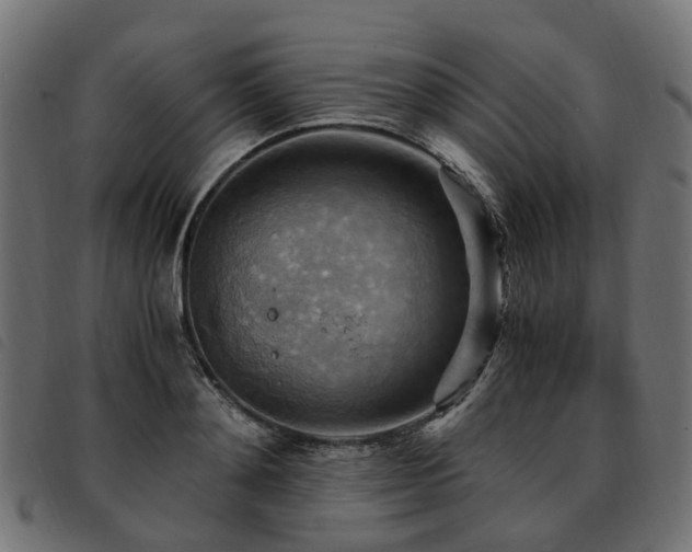 X0000093590892200710151202