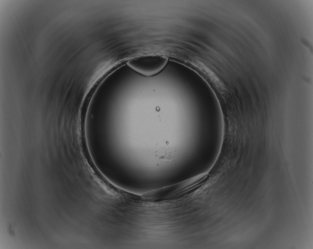 X0000093590894200710151202