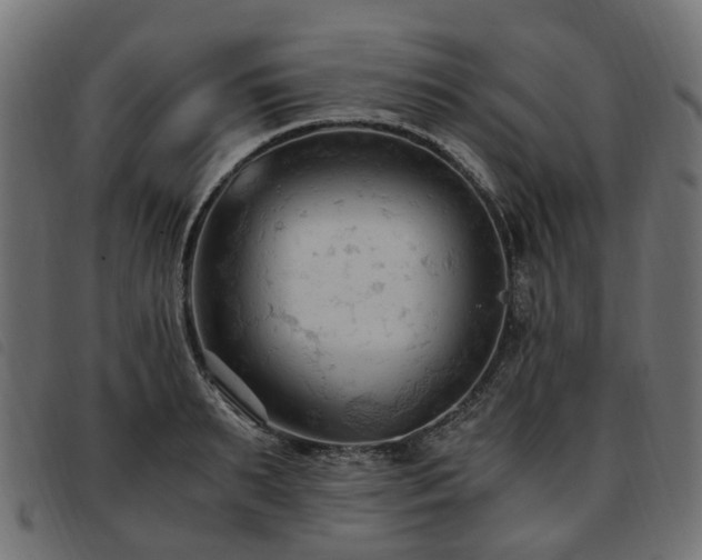 X0000093590895200710151202