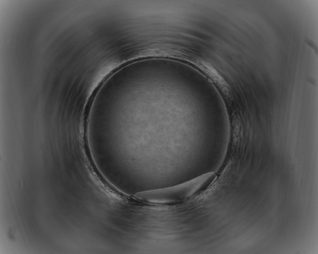 X0000093590896200710151202